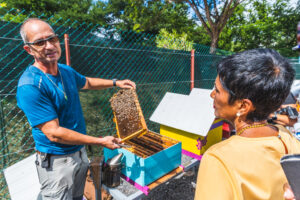 Lire la suite à propos de l’article Des abeilles au cœur du projet PRUNEL