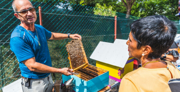 Des abeilles au cœur du projet PRUNEL