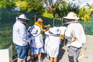 Lire la suite à propos de l’article Les enfants de l’école Bouvet visitent les ruchers pédagogiques