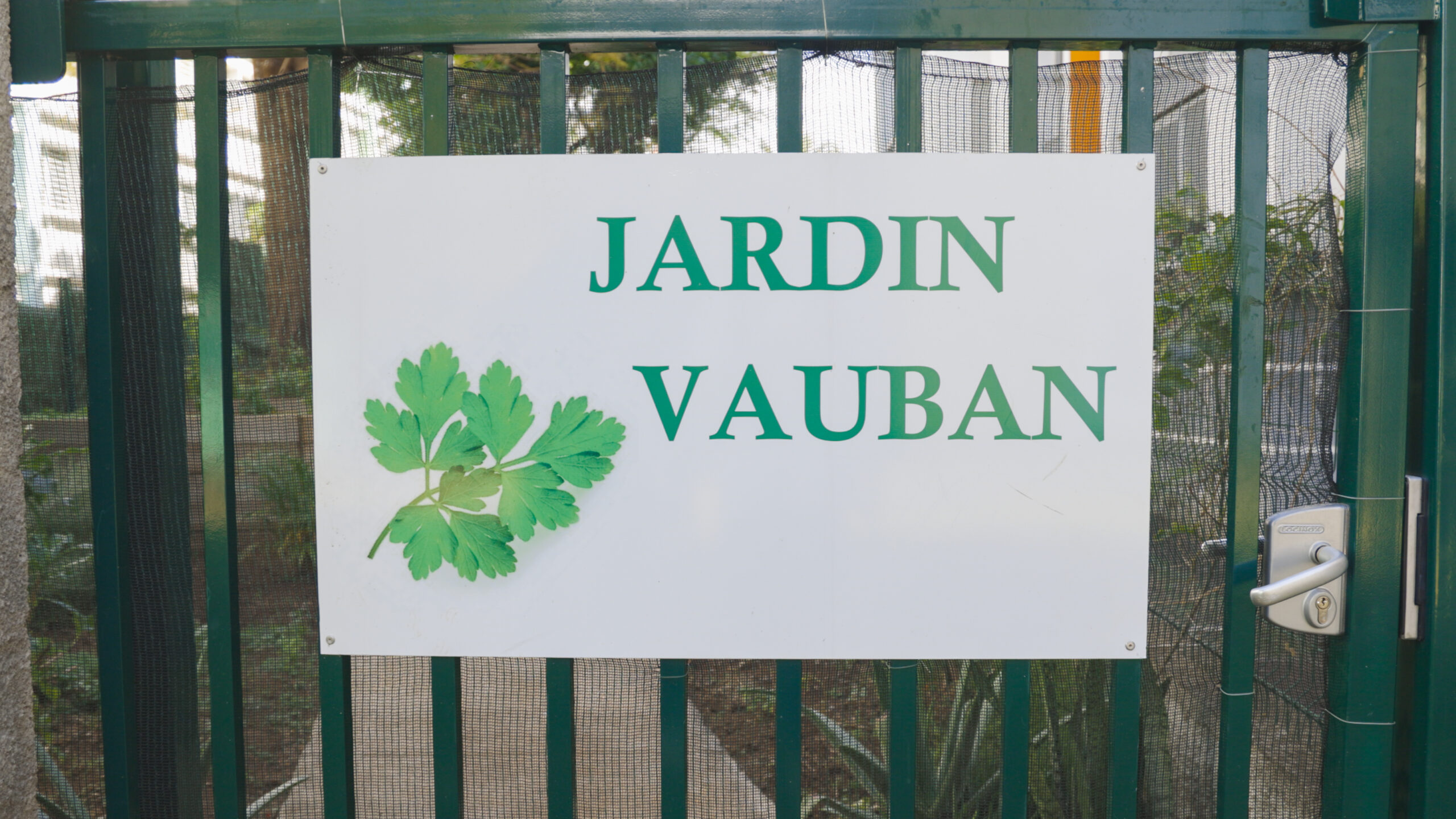 You are currently viewing Le jardin des plantes aromatiques de Vauban